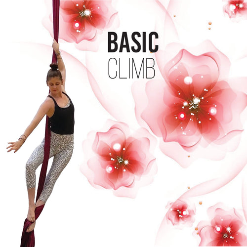 3 Basic Climb