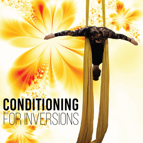 2  Conditioning for Inversions