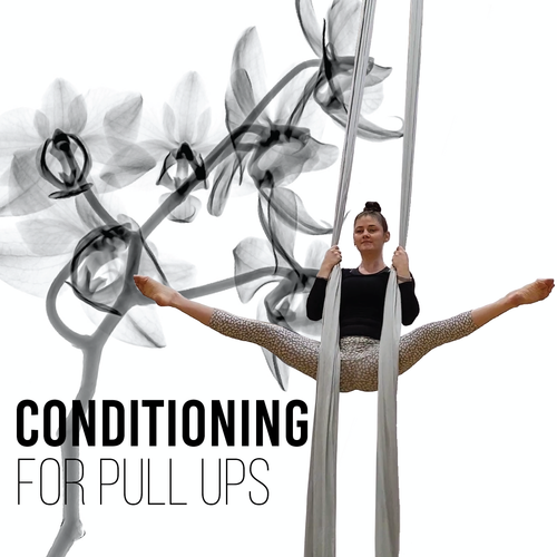 1  Conditioning for Pull Ups